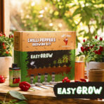 Gift Chili Pepper Growing Kit - Easy Grow - Image 7