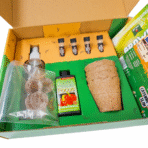 Gift Chili Pepper Growing Kit - Easy Grow - Image 4